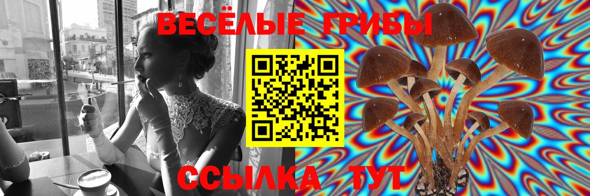 Псилоцибиновые грибы прущие грибы Выборг